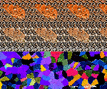 OHNE TITEL 1.gif